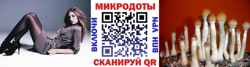 Псилоцибиновые грибы мухоморы  цена наркотик  Москва 